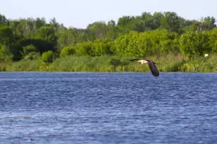 N1028 Chalet Dr, Waupaca, WI 54981 - Photo 14