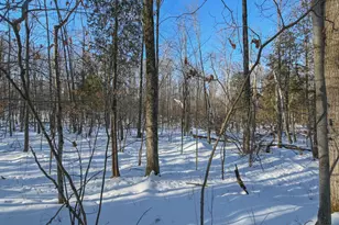 692 Bucks Ln, Little Suamico, WI 54171 - Photo 64