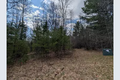 Fisher Road, Wausaukee, WI 54177 - Photo 2