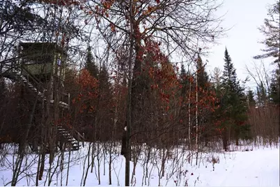 Fisher Road, Wausaukee, WI 54177 - Photo 4