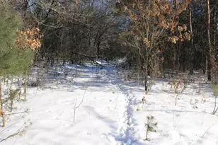 W8970 County Rd P, Almond, WI 54909 - Photo 44