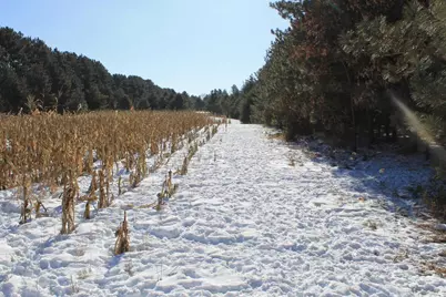 W8970 County Road P, Almond, WI 54909 - Photo 32