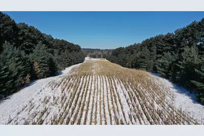 W8970 County Road P, Almond, WI 54909 - Photo 10