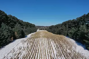 W8970 County Rd P, Almond, WI 54909 - Photo 10