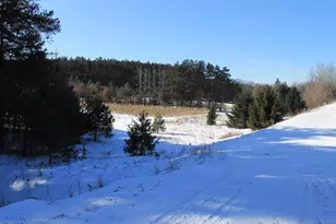 W8970 County Rd P, Almond, WI 54909 - Photo 38