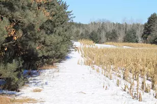 W8970 County Rd P, Almond, WI 54909 - Photo 30