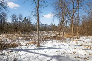 631 Fiddlehead Ct, Green Lake, WI 54941 - Photo 40