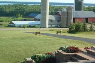 W5735 County Road E, Shawano, WI 54166 - Photo 66