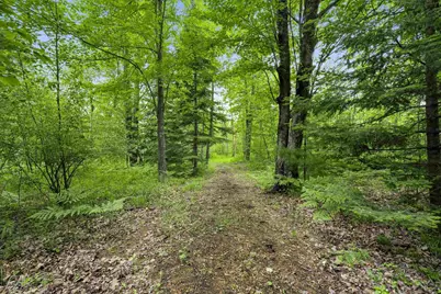 Rector Road, Wausaukee, WI 54177 - Photo 6