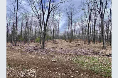 Rhett Lane, Wausaukee, WI 54177 - Photo 1