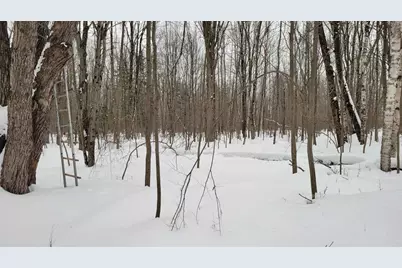 N2534 West Road, Brantwood, WI 54513 - Photo 14