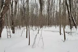 N2534 West Rd, Brantwood, WI 54513 - Photo 14