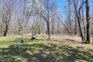 N2534 West Rd, Brantwood, WI 54513 - Photo 8