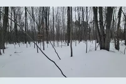 N2534 West Road, Brantwood, WI 54513 - Photo 12