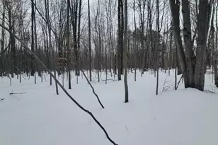 N2534 West Rd, Brantwood, WI 54513 - Photo 12