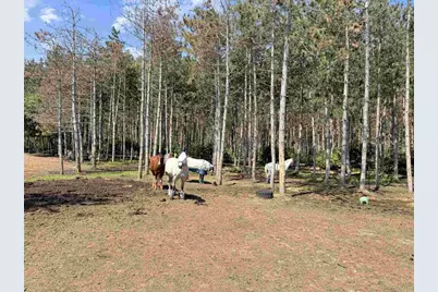 W4233 Porterfield Lake Road, Porterfield, WI 54159 - Photo 26