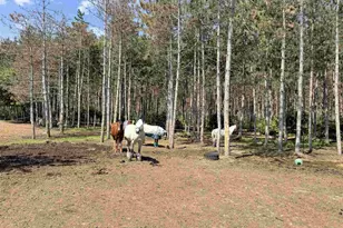 W4233 Porterfield Lake Rd, Porterfield, WI 54159 - Photo 26