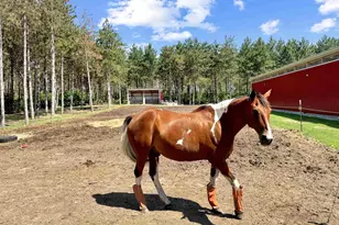 W4233 Porterfield Lake Rd, Porterfield, WI 54159 - Photo 12