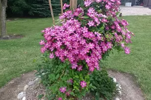 N6439 Lake Shore Dr, Hilbert, WI 54129 - Photo 36