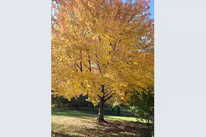 W7647 Patrick Place, Beaver Dam, WI 53916 - Photo 88