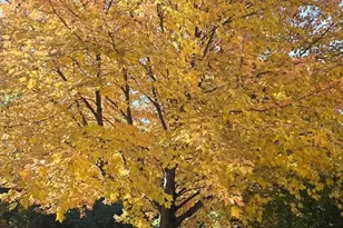 W7647 Patrick Pl, Beaver Dam, WI 53916 - Photo 88