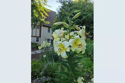 W7647 Patrick Place, Beaver Dam, WI 53916 - Photo 84