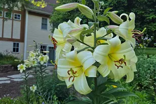 W7647 Patrick Pl, Beaver Dam, WI 53916 - Photo 84