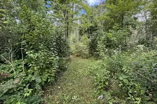 E1501 Penny Ln, Iola, WI 54945 - Photo 46