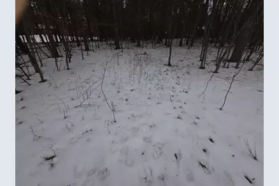 Alpine Drive, Wautoma, WI 54982 - Photo 4