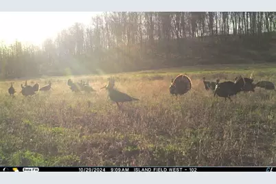 N3353 Comet Road, Edgerton, WI 54486 - Photo 80