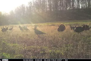 N3353 Comet Rd, Edgerton, WI 54486 - Photo 80