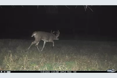 N3353 Comet Road, Edgerton, WI 54486 - Photo 76