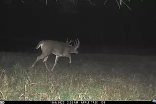 N3353 Comet Rd, Edgerton, WI 54486 - Photo 76