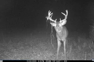 N3353 Comet Rd, Edgerton, WI 54486 - Photo 72