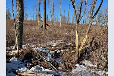 N3353 Comet Road, Edgerton, WI 54486 - Photo 42