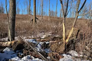 N3353 Comet Rd, Edgerton, WI 54486 - Photo 42