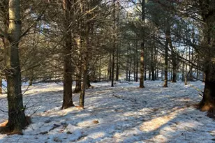 N3353 Comet Rd, Edgerton, WI 54486 - Photo 36