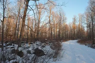 N3353 Comet Rd, Edgerton, WI 54486 - Photo 32