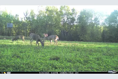 N3353 Comet Road, Edgerton, WI 54486 - Photo 58