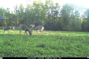 N3353 Comet Rd, Edgerton, WI 54486 - Photo 58