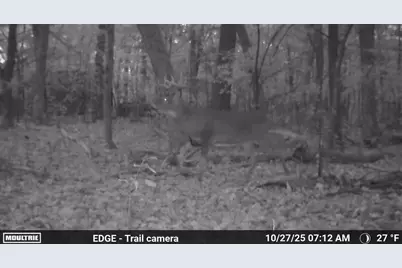 17th Drive, Wautoma, WI 54982 - Photo 28