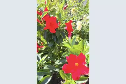 730 E Scott Street, Omro, WI 54963 - Photo 44