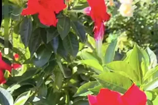 730 E Scott St, Omro, WI 54963 - Photo 44