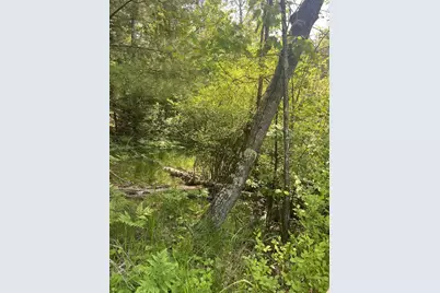 Lake John Road, Lakewood, WI 54138 - Photo 2