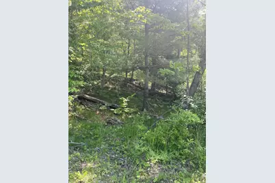 Lake John Road, Lakewood, WI 54138 - Photo 1