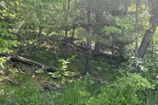 Lake John Rd, Lakewood, WI 54138 - Photo 1