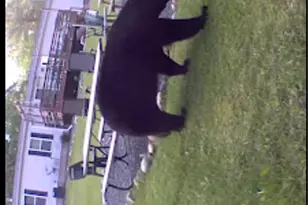 W10825 Woods Rd, Dunbar, WI 54119 - Photo 22