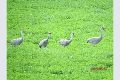 3128 Concordia Lane, Green Bay, WI 54311 - Photo 54