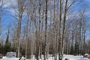 W7990 Herzog Rd, Iron Mountain, MI 49801 - Photo 36