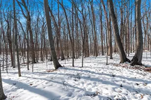 4331 Pittco Rd, Green Bay, WI 54313 - Photo 58